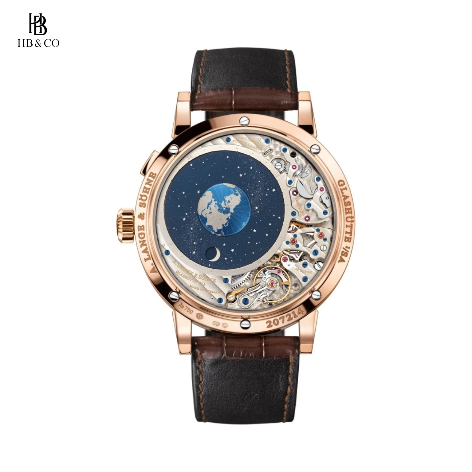 A. Lange & Söhne Richard Lange Perpetual Calendar “Terraluna” 45.5mm 180.032FE