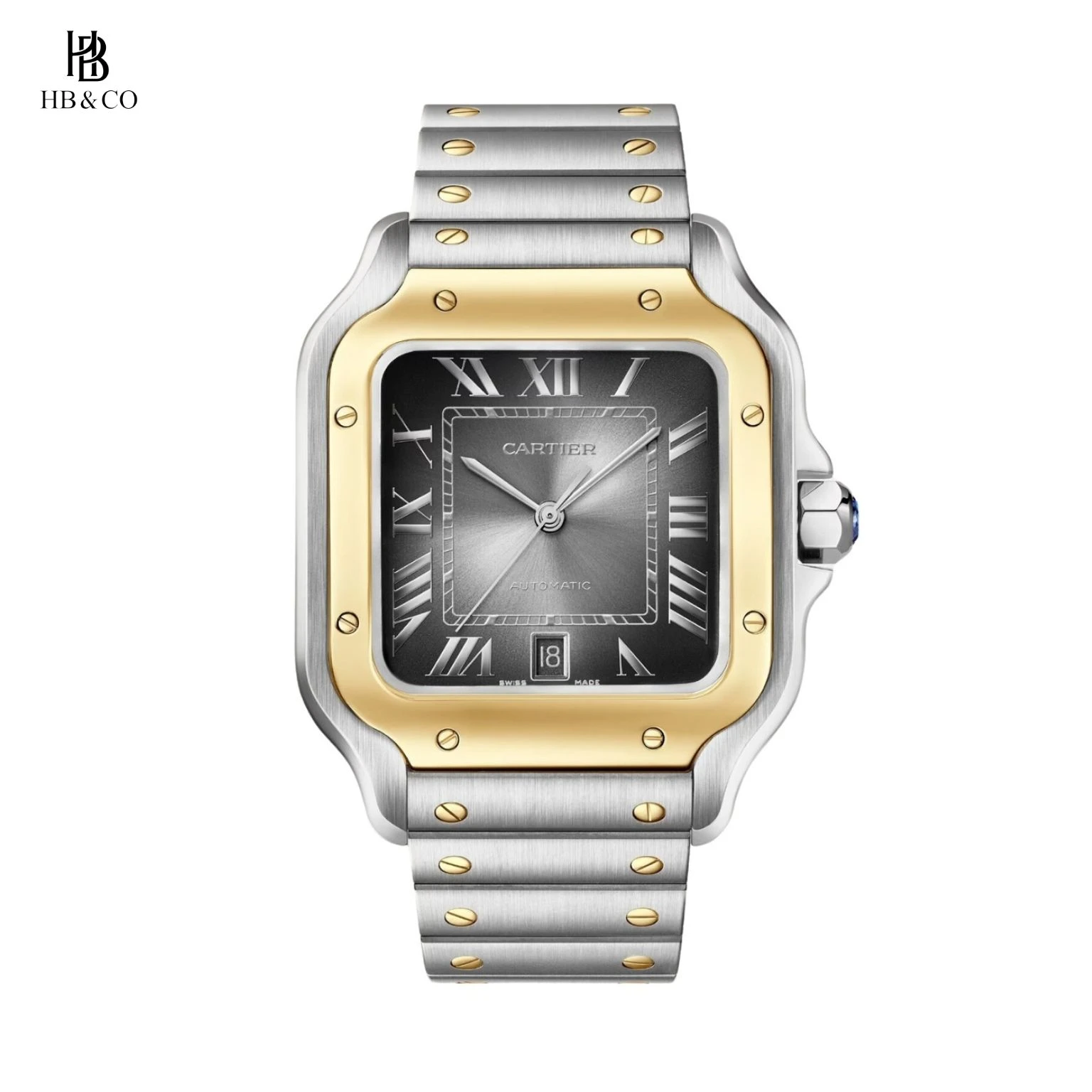 Cartier Santos De Cartier WGSA0029