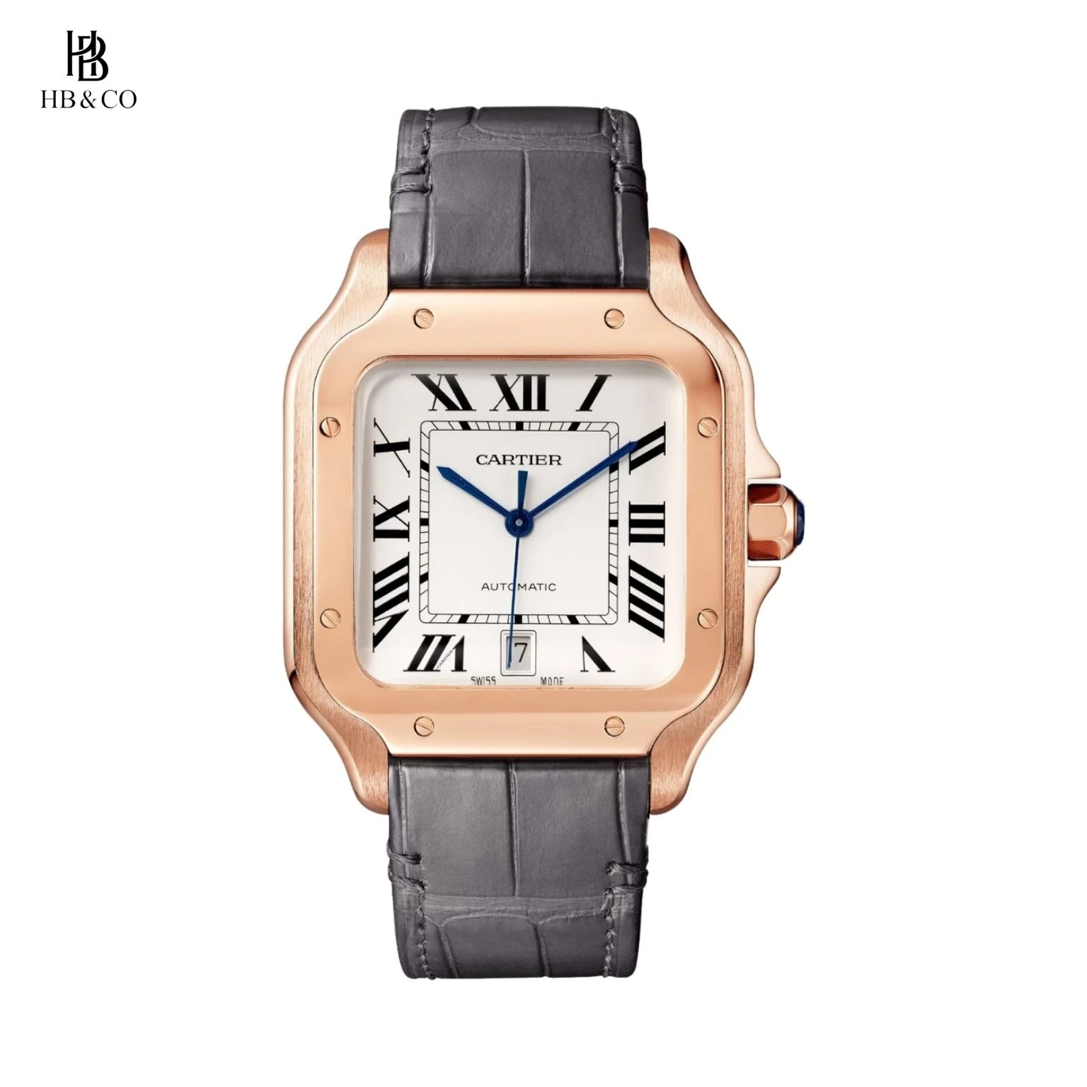 Cartier Santos De Cartier WGSA0019