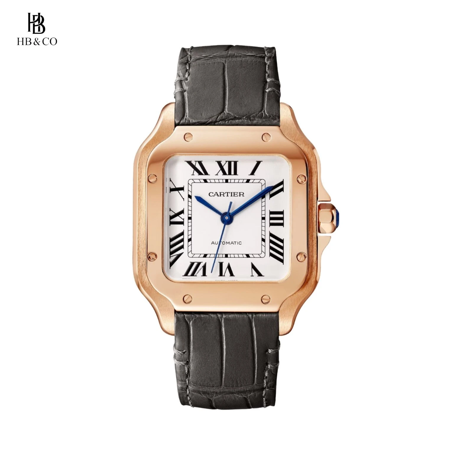 Cartier Santos De Cartier WGSA0095