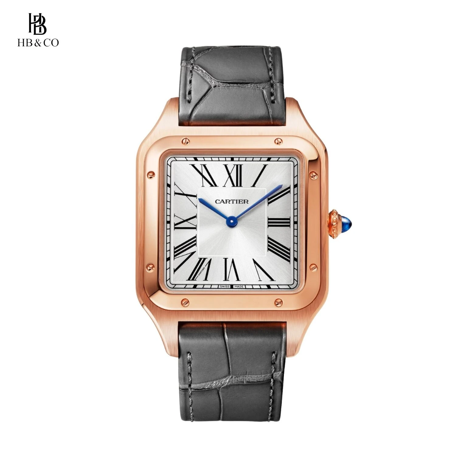 Cartier Santos De Cartier WGSA0095