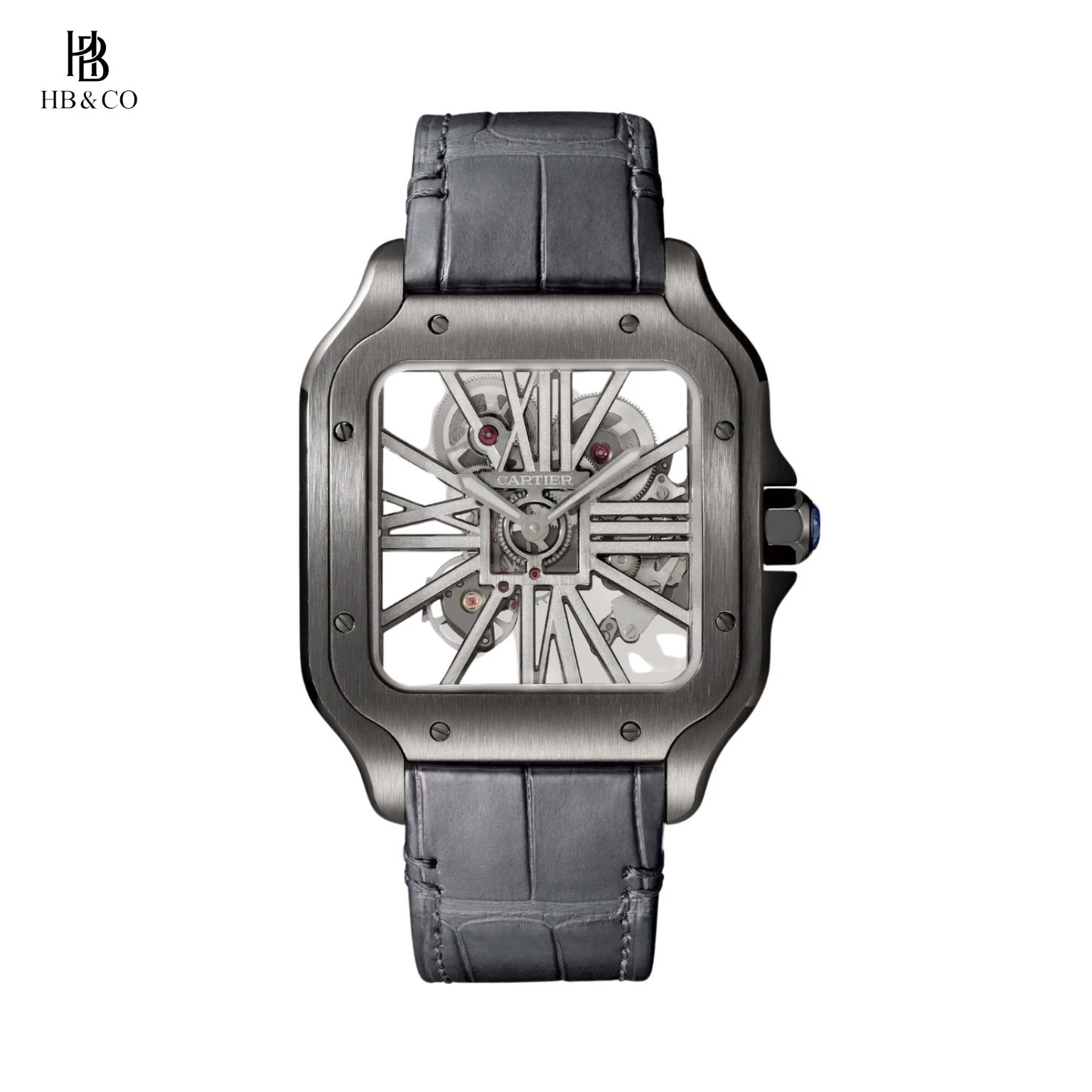 Cartier Santos De Cartier WGSA0095