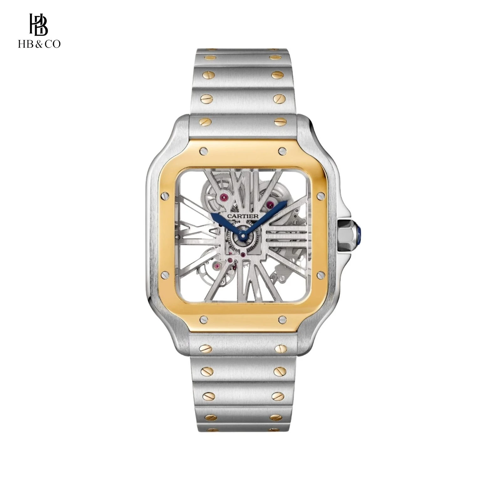 Cartier Santos De Cartier WHSA0019