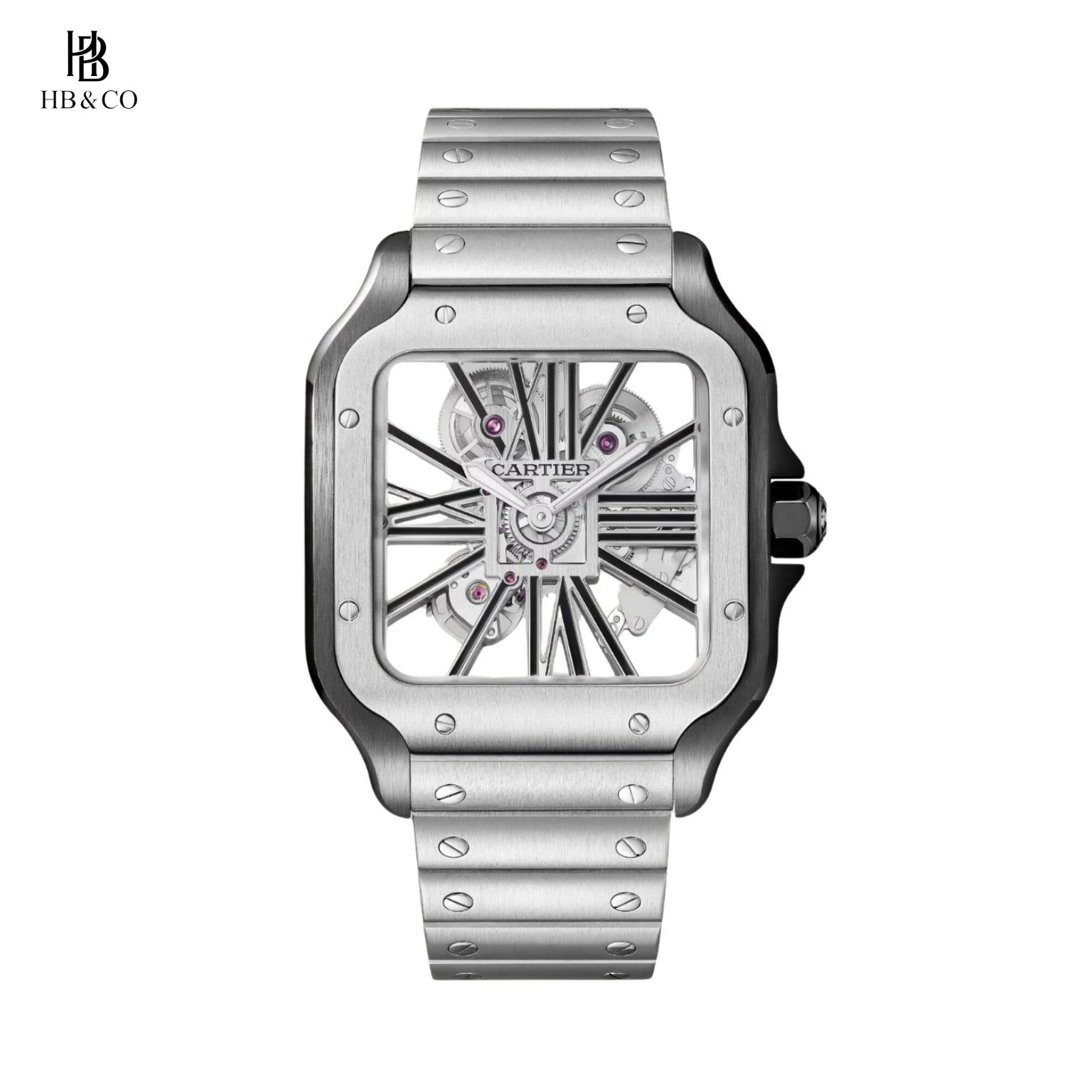 Cartier Santos De Cartier WHSA0027