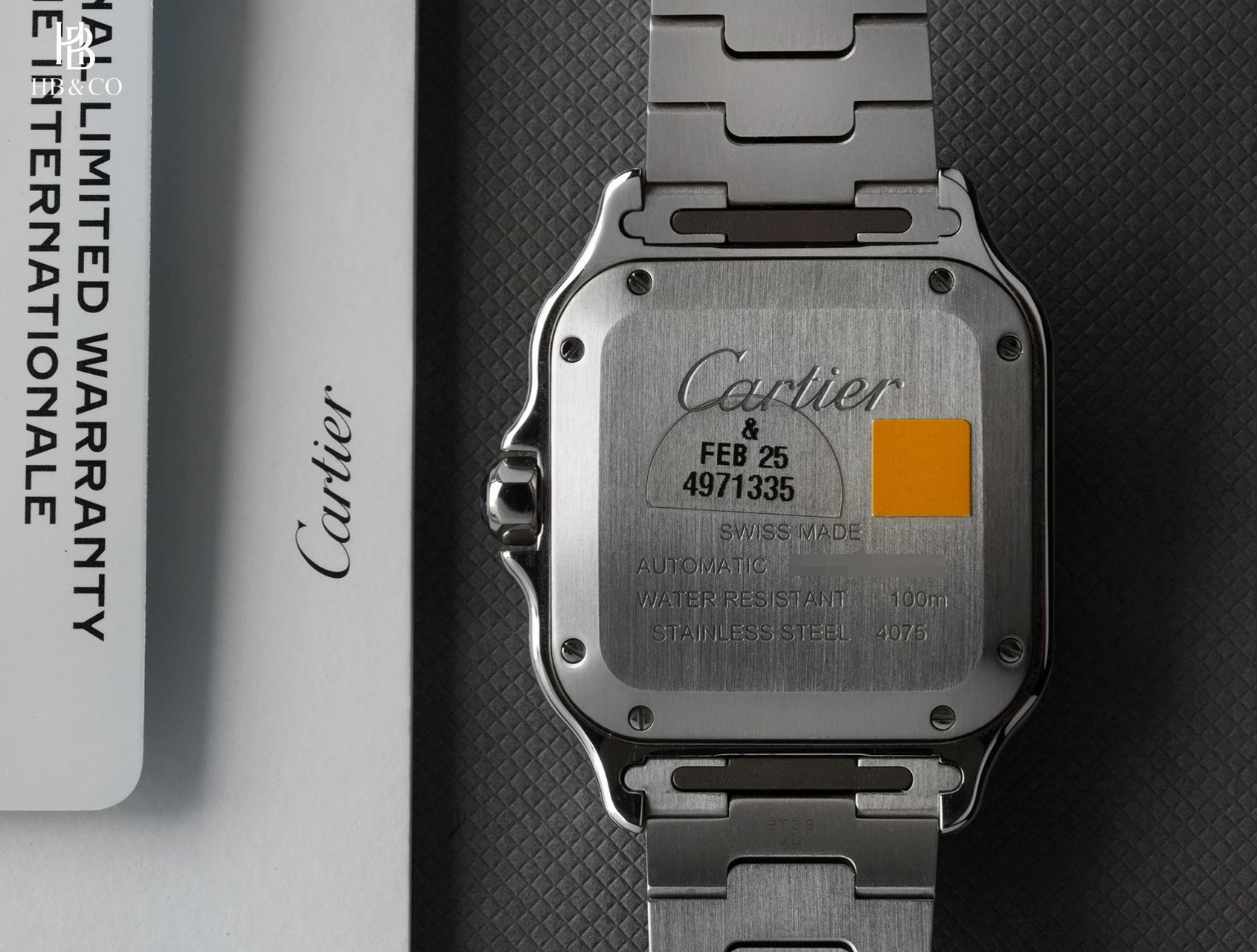 Cartier Santos De Cartier WSSA0061