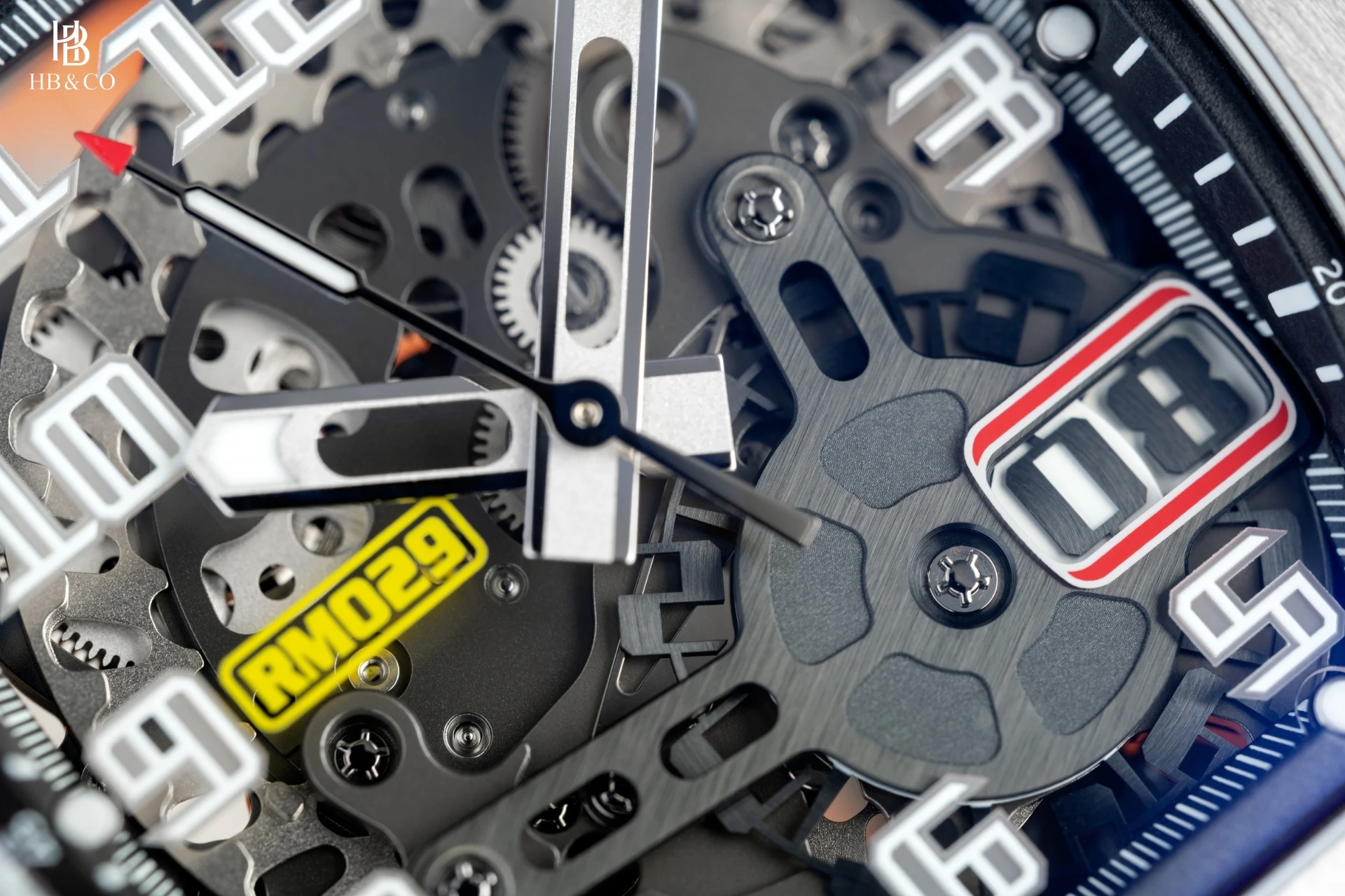 Richard Mille RM 029 Titanium