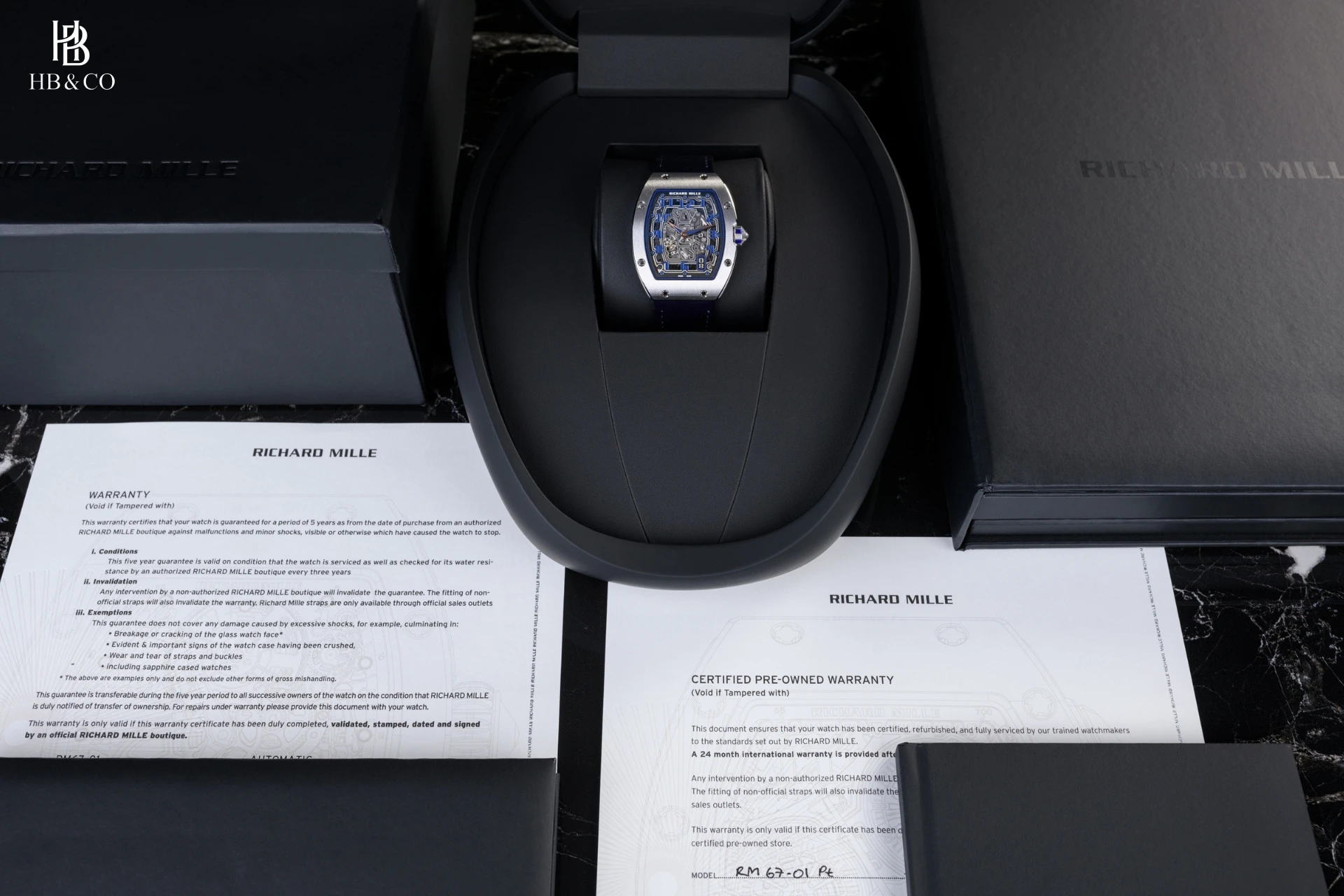 Richard Mille RM 67-01 Platinum