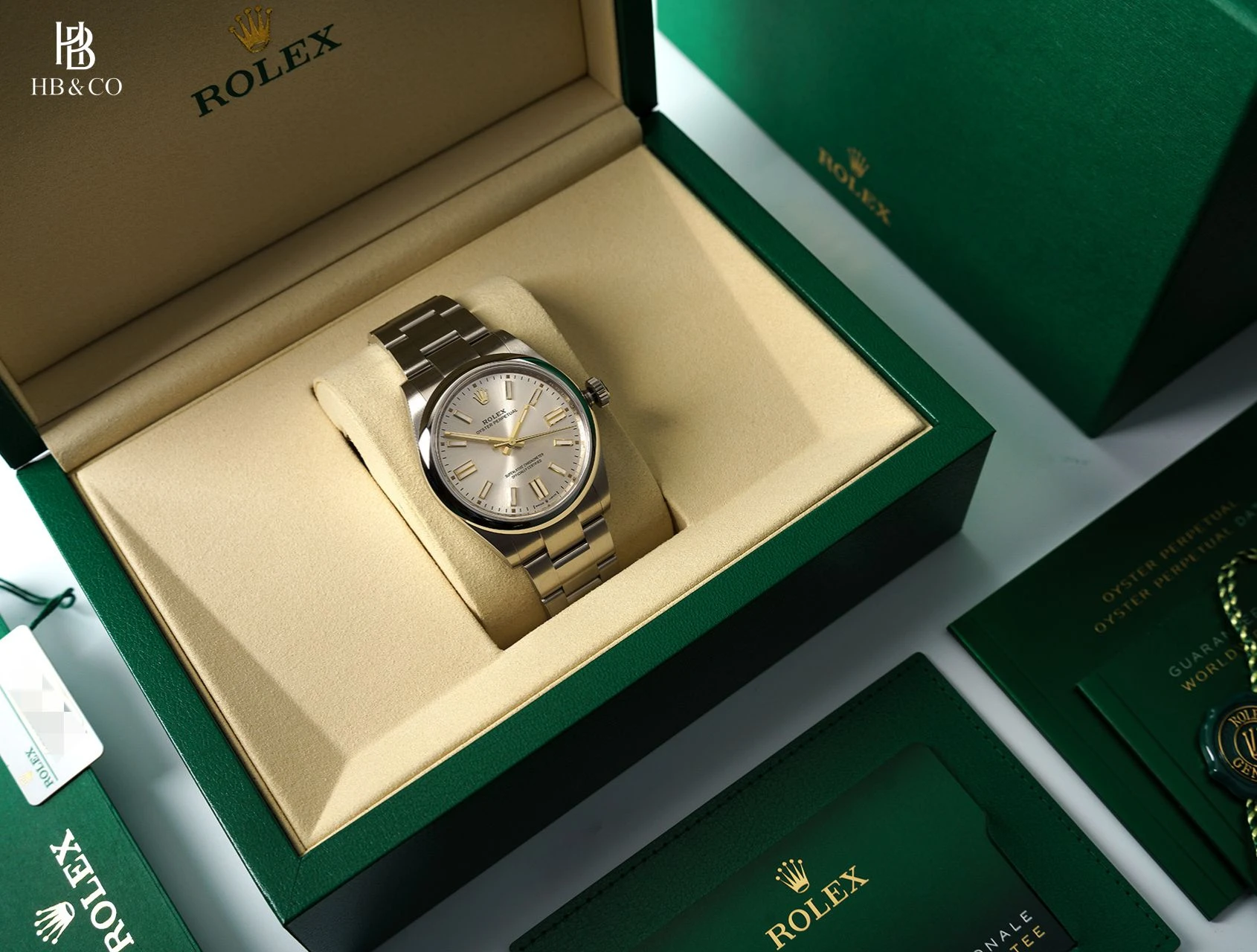 Rolex Oyster Perpetual 41mm 134300-0001 Silver Dial